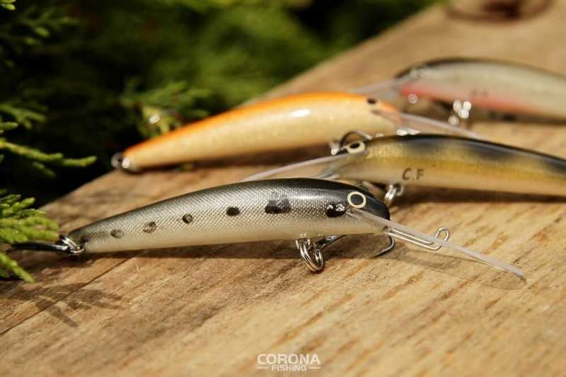 wobler sdr na brzanę